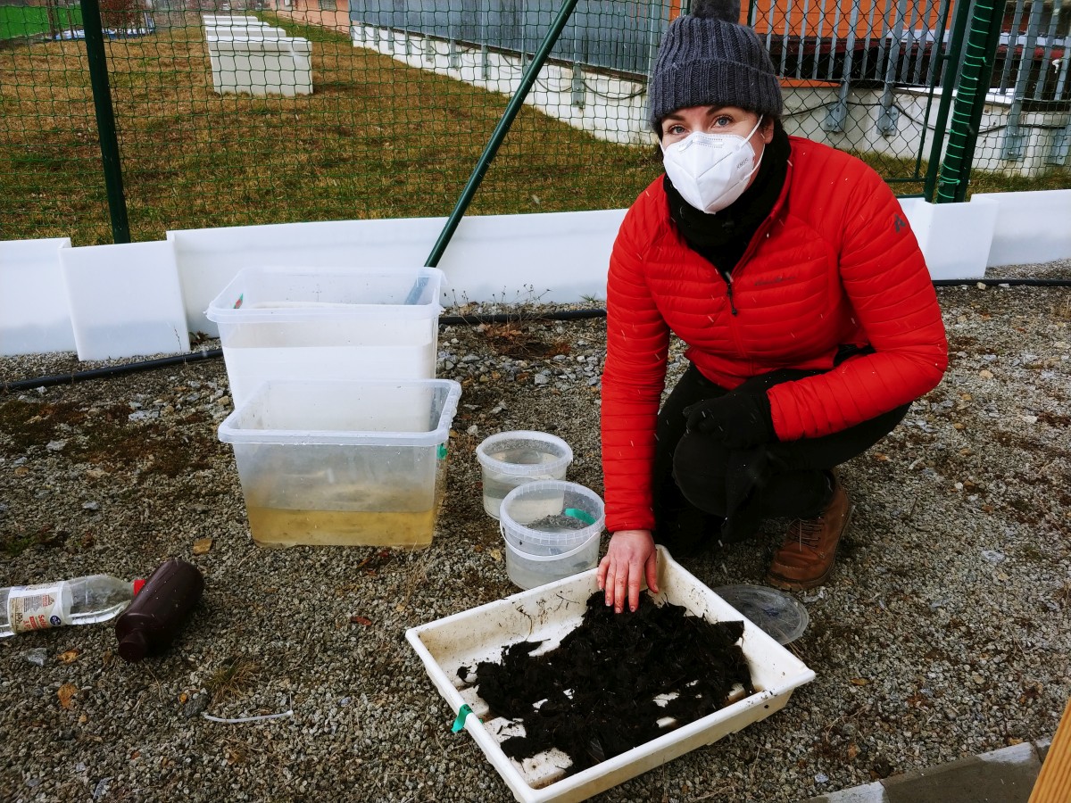 mesocosms: Claire with leaf litter