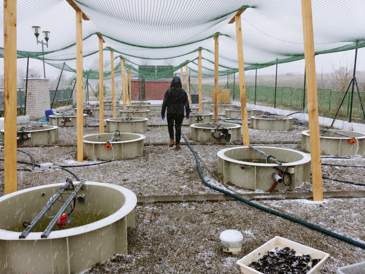 sampling in a snow storm